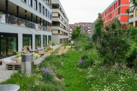 Schwammstadtquartier mit Versickerungsgraben und erhöhten Erdgeschossen und Gebäudeöffnungen (Foto von Théo Gardiol, Kanton Genf)